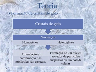 Teoria
Orientação e
combinação das
moléculas são casuais.
Formação de um núcleo
ao redor de partículas
suspensas ou em parede
celular
Nucleação
Homogênea Heterogênea
Cristais de gelo
Formação de cristais de gelo
 
