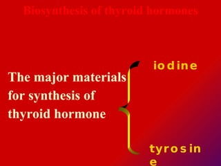 Biosynthesis of thyroid hormones The major materials  for synthesis of thyroid hormone   tyrosine iodine  