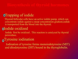 Biosynthesis of thyroid hormones Trapping of iodide Thyroid follicular cells have an active iodide pump, which can concentrate iodide against a steep concentration gradient,iodide is transported from the blood into the thyroid.  Iodide oxidized  Iodide  first be oxidized . This reaction is catalyzed by thyroid peroxidase. Tyrosine iodination  Iodination of tyrosine forms monoiodotyrosine (MIT) and diiodotyrosine (DIT) bound in the thyroglobulin.  