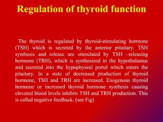 Regulation of thyroid function The thyroid is regulated by thyroid-stimulating hormone (TSH) which is secreted by the anterior pituitary. TSH synthesis and release are stimulated by TSH –releasing hormone (TRH), which is synthesized in the hypothalamus and secreted into the hypophyseal portal which enters the pituitary. In a state of decreased production of thyroid hormone, TSH and TRH are increased. Exogenous thyroid hormone or increased thyroid hormone synthesis causing elevated blood levels inhibits TSH and TRH production. This is called negative feedback. (see Fig)  