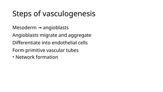 Vascularization Step Comprehensive Overview of Congenital Vascular Disorders and Their ...