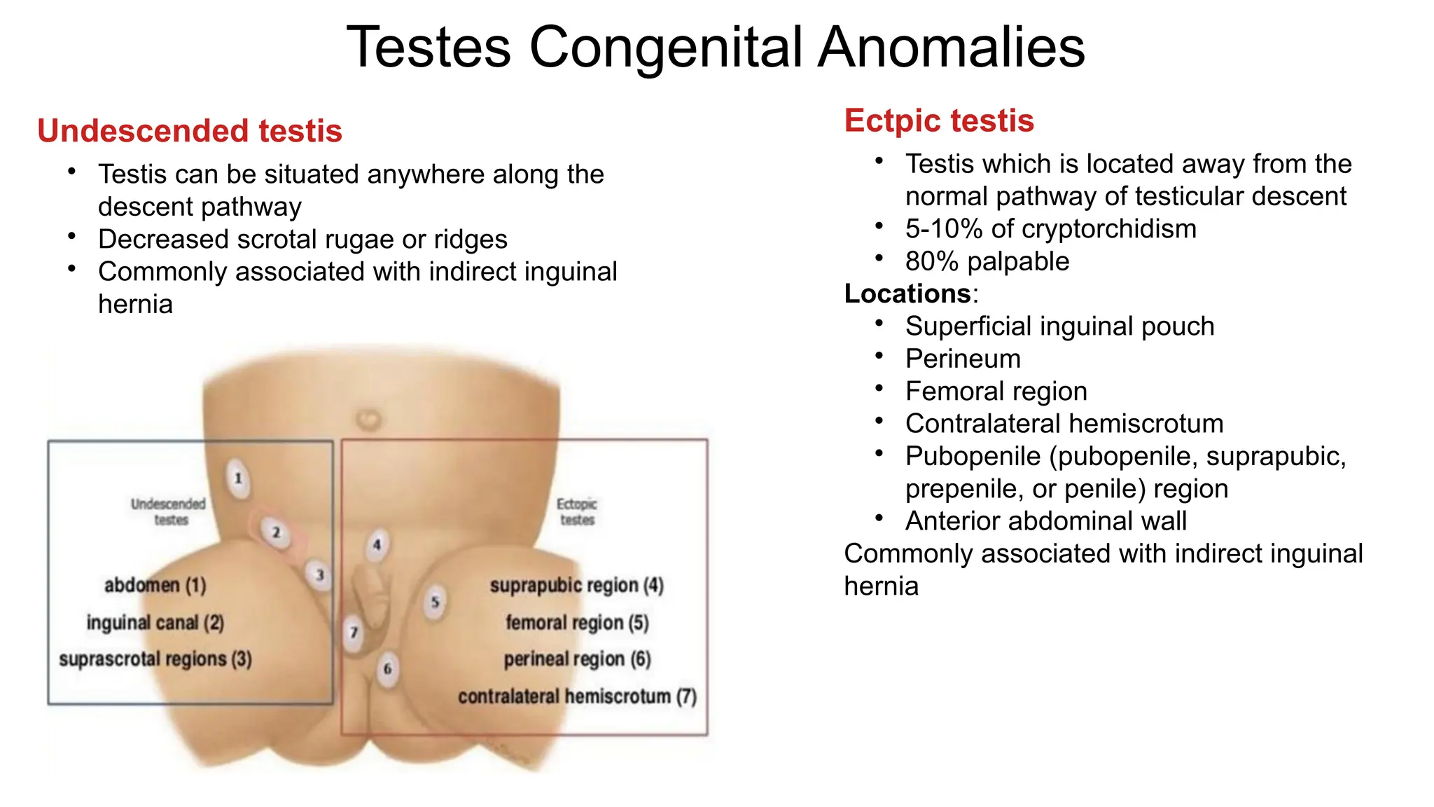 congenital-anomalies-urinary-system.pptx