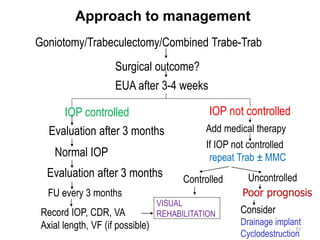 Congenital-glaucoma presention thired year .pptx
