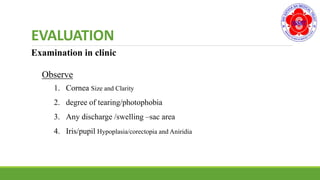 EVALUATION
Examination in clinic
Observe
1. Cornea Size and Clarity
2. degree of tearing/photophobia
3. Any discharge /swelling –sac area
4. Iris/pupil Hypoplasia/corectopia and Aniridia
 