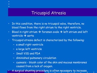 Tricuspid Atresia <ul><li>In this condition, there is no tricuspid valve, therefore, no blood flows from the right atrium ...
