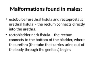 Malformations found in males:
• ectobulbar urethral fistula and rectoprostatic
urethral fistula - the rectum connects directly
into the urethra.
• rectobladder neck fistula – the rectum
connects to the bottom of the bladder, where
the urethra (the tube that carries urine out of
the body through the genitals) begins
 