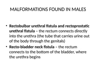 MALFORMATIONS FOUND IN MALES
• Rectobulbar urethral fistula and rectoprostatic
urethral fistula – the rectum connects directly
into the urethra (the tube that carries urine out
of the body through the genitals)
• Recto-bladder neck fistula – the rectum
connects to the bottom of the bladder, where
the urethra begins
 