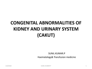 CONGENITAL ABNORMALITIES OF
KIDNEY AND URINARY SYSTEM
(CAKUT)
SUNIL KUMAR.P
Haematology& Transfusion medicine
2/3/2018 1SUNIL KUMAR P
 