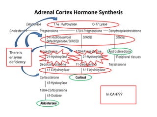 Adrenal Cortex Hormone Synthesis There is enzyme deficiencyIn CAH???