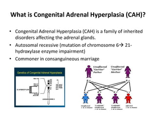 What is Congenital Adrenal Hyperplasia (CAH)? Congenital Adrenal Hyperplasia (CAH) is a family of inherited disorders affecting the adrenal glands.Autosomal recessive (mutation of chromosome 6 21-hydroxylase enzyme impairment)Commoner in consanguineous marriage