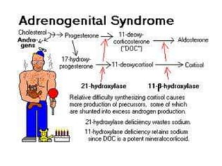 3 Ᏸ-hydroxysteroiddehydrogenase deficiency(1%)CAH due to 21-OH deficiencyPediatrics Endocrinology, Mechanisms, Manifestations and Management, Ora H. Pescovitz, Erica A. Eugster, 2004 by Lippincott Williams & Wilkins.