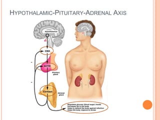HYPOTHALAMIC-PITUITARY-ADRENAL AXIS
-
-
 