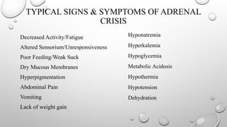 TYPICAL SIGNS & SYMPTOMS OF ADRENAL
CRISIS
Decreased Activity/Fatigue
Altered Sensorium/Unresponsiveness
Poor Feeding/Weak Suck
Dry Mucous Membranes
Hyperpigmentation
Abdominal Pain
Vomiting
Lack of weight gain
Hyponatremia
Hyperkalemia
Hypoglycemia
Metabolic Acidosis
Hypothermia
Hypotension
Dehydration
 