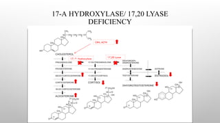 17-Α HYDROXYLASE/ 17,20 LYASE
DEFICIENCY
17- Hydroxylase
CRH, ACTH
17,20 Lyase
 