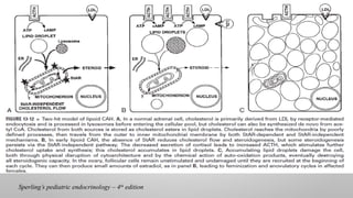 Sperling’s pediatric endocrinology – 4th
edition
 