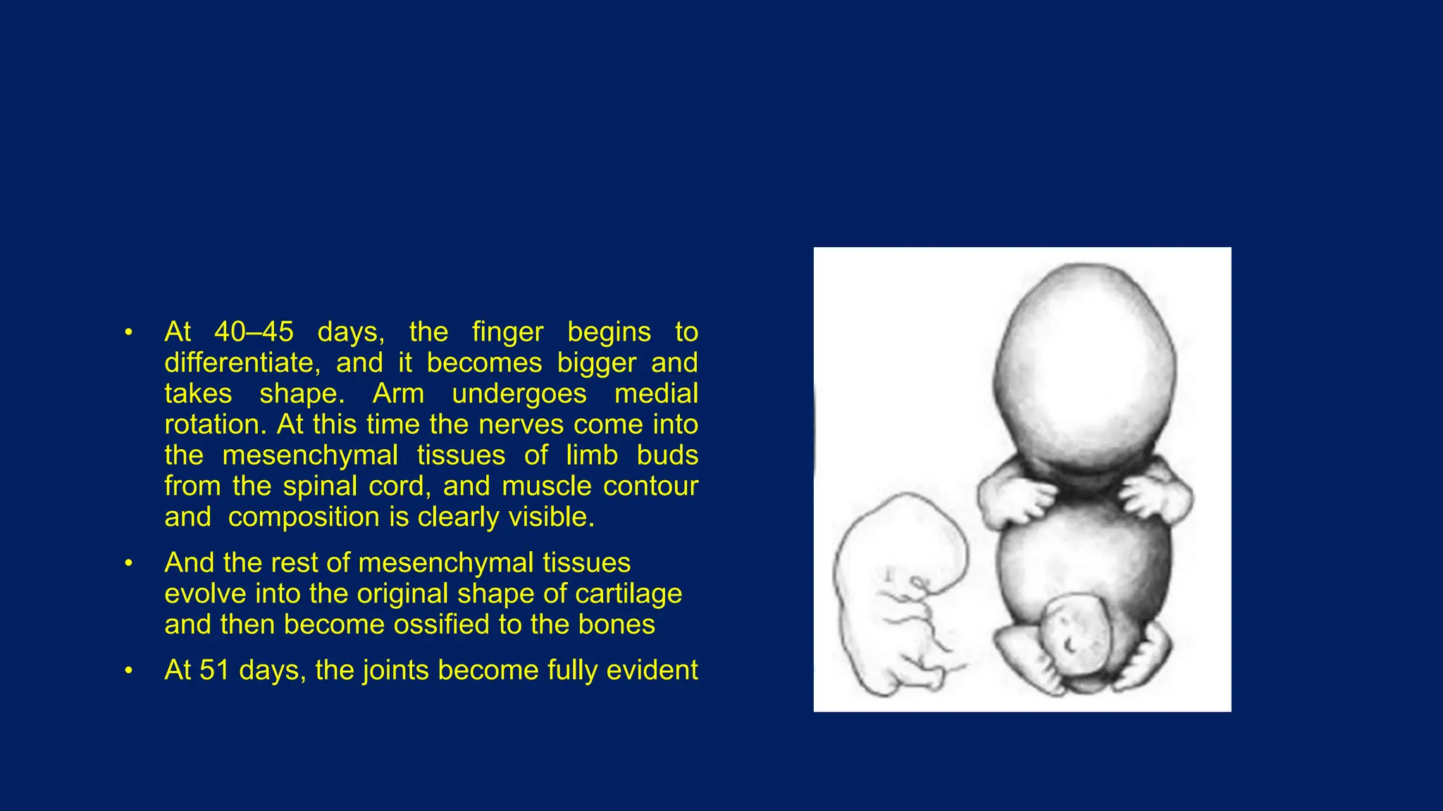 Hand CONGENITAL ANAMOLIES classification.pptx