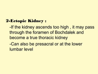 2-Ectopic Kidney :
-If the kidney ascends too high , it may pass
through the foramen of Bochdalek and
become a true thoracic kidney
-Can also be presacral or at the lower
lumbar level
 