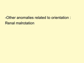 -Other anomalies related to orientation :
Renal malrotation
 
