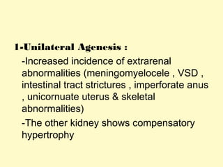 1-Unilateral Agenesis :
-Increased incidence of extrarenal
abnormalities (meningomyelocele , VSD ,
intestinal tract strictures , imperforate anus
, unicornuate uterus & skeletal
abnormalities)
-The other kidney shows compensatory
hypertrophy
 