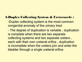4-Duplex Collecting System & Ureterocele :
-Duplex collecting system is the most common
congenital anomaly of the urinary tract
- The degree of duplication is variable , duplication
is complete when there are two separate
collecting systems and two separate ureters ,
each with their own ureteral orifice , duplication
is incomplete when the ureters join and enter the
bladder through a single ureteral orifice
 
