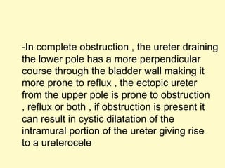 -In complete obstruction , the ureter draining
the lower pole has a more perpendicular
course through the bladder wall making it
more prone to reflux , the ectopic ureter
from the upper pole is prone to obstruction
, reflux or both , if obstruction is present it
can result in cystic dilatation of the
intramural portion of the ureter giving rise
to a ureterocele
 