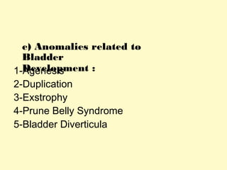 e) Anomalies related to
Bladder
Development :1-Agenesis
2-Duplication
3-Exstrophy
4-Prune Belly Syndrome
5-Bladder Diverticula
 