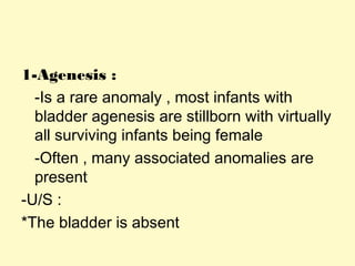 1-Agenesis :
-Is a rare anomaly , most infants with
bladder agenesis are stillborn with virtually
all surviving infants being female
-Often , many associated anomalies are
present
-U/S :
*The bladder is absent
 