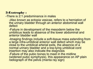 3-Exstrophy :
-There is 2:1 predominance in males
-Also known as ectopia vesicae, refers to a herniation of
the urinary bladder through an anterior abdominal wall
defect
-Failure in development of the mesoderm below the
umbilicus leads to absence of the lower abdominal and
anterior bladder wall
-Imaging findings include a soft-tissue mass extending from
a large infra-umbilical anterior wall defect which may be
close to the umbilical arterial exits, the absence of a
normal urinary bladder and a low-lying umbilical cord
insertion may also indicate the diagnosis
-Failure of the pubic bones to meet in the midline
(widened pubic symphysis), this appearance on AP plain
radiograph of the pelvis (manta ray sign)
 