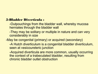 5-Bladder Diverticula :
-Outpouchings from the bladder wall, whereby mucosa
herniates through the bladder wall
-They may be solitary or multiple in nature and can very
considerably in size
-May be congenital (primary) or acquired (secondary)
-A Hutch diverticulum is a congenital bladder diverticulum,
seen at vesicoureteric junction
-Acquired diverticula are more common, usually occurring
the context of a trabeculated bladder, resulting from
chronic bladder outlet obstruction
 