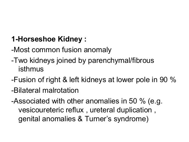 Diagnostic Imaging Of Congenital Renal Anomalies