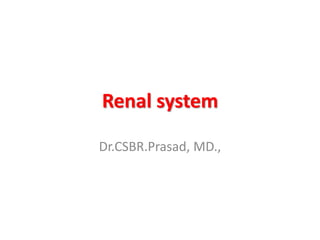 Renal system
Dr.CSBR.Prasad, MD.,
 