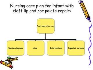 Congenital anomalies1