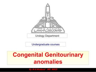 Urology Department


      Undergraduate courses



Congenital Genitourinary
      anomalies
 