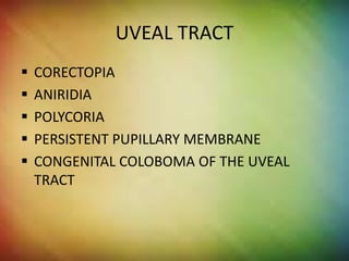 Corectopia Rabbit Congenital anomalies in the eye | PPTX