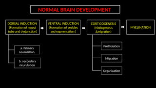 Moderate Cerebral Involution Congenital anomalies of brain radiology 2.pptx