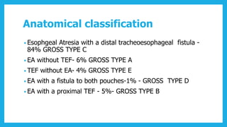 Tef Classification Congenital anomalies of esophagus | PDF