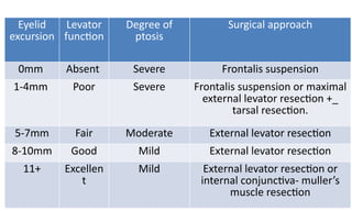 Normal Levator Function Congenital Anomalies of Eyelids and Orbit | PPTX