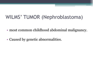 Congenital anomalies of face & urinary system Dr Hatem El Gohary | PPTX
