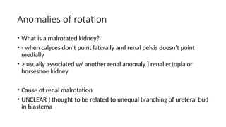 Kidney Rotation Congenital anomalies of the genito-urinary system.pptx