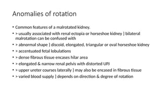 Kidney Rotation Congenital anomalies of the genito-urinary system.pptx