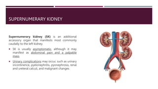Congenital Anomalies of the Kidney & Urinary Tract | PPTX