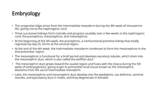 Congenital Anomalies of the Urinary tract | PPTX