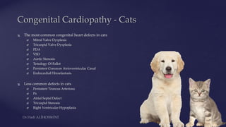 Congenital cardiopathies | PDF
