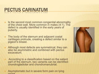 PECTUS CARINATUM
 Is the second most common congenital abnormality
of the chest wall. More common in males (4:1). The
defect is usually identified in the early years of
puberty.
 The body of the sternum and adjacent costal
cartilages protrude, creating a defect similar to a
pigeon's breast.
 Although most defects are symmetrical, they can
also be asymmetric and combined with pectus
excavatum.
 According to a classification based on the salient
part of the sternum, two variants can be identified:
chondrogladiolar and chondromanubrial.
 Asymptomatic but in severe form pain on lying
 