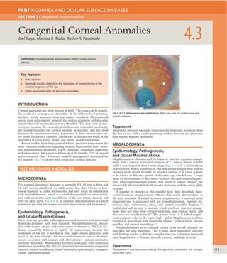 173
INTRODUCTION
Corneal anomalies are often present at birth. The cause can be genetic,
the result of a teratogen, or idiopathic. At the ﬁfth week of gestation,
the lens vesicle separates from the surface ectoderm. Mesenchymal
neural crest cells migrate between the surface ectoderm and the optic
cup in what will become the anterior chamber.1
The ﬁrst wave of mes-
enchyme becomes the corneal endothelium and trabecular meshwork,
the second becomes the corneal stromal keratocytes, and the third
becomes the anterior iris stroma. Separation of these mesenchyme lay-
ers forms the anterior chamber. Alterations in this process result in the
anomalies of corneal size, shape, and clarity, as described below.
Recent studies from large corneal referral practices have shown the
most common conditions requiring surgical intervention were: poste-
rior polymorphous dystrophy, Peters’ anomaly, congenital glaucoma,
and sclerocornea. After a mean follow-up of 40 months, 78% of corneal
grafts remained clear.2
However, medical management accounted for
the majority (52.7%) of eyes with congenital corneal opacities.3
SIZE AND SHAPE ANOMALIES
MICROCORNEA
The cornea’s horizontal diameter is normally 9.5–10 mm at birth and
10–12.5 mm in adulthood. An adult cornea less than 10 mm in hori-
zontal diameter is called microcornea and may occur in conjunction
with microphthalmos, which is a small disorganized eye often associ-
ated with anomalies such as coloboma of the iris, retina, choroid, and
even the optic nerve (Fig. 4-3-1). In contrast, nanophthalmos is a small
functional eye that has normal internal organization and proportions.
Epidemiology, Pathogenesis,
and Ocular Manifestations
Most cases are sporadic, although autosomal recessive and autosomal
dominant pedigrees have been reported.4
Microphthalmos in associa-
tion with dermal aplasia and sclerocornea is known as MIDAS syn-
drome (caused by deletion in Xp22).5
In microcornea, because the
remainder of the eye is normal in size, angle-closure glaucoma may
occur as the lens enlarges. An autosomal dominant variant of micro-
cornea associated with cataract and other anterior segment anomalies
has been described.6
Microcornea has been associated with numerous
syndromes, including the “micro” syndrome of microcornea, congenital
cataract, mental retardation, retinal dystrophy, optic atrophy, hypogeni-
talism, and microcephaly.7
Treatment
Treatment involves spectacle correction for hyperopia resulting from
the ﬂat cornea. Other ocular pathology such as cataract and glaucoma
may require separate treatment.
MEGALOCORNEA
Epidemiology, Pathogenesis,
and Ocular Manifestations
Megalocornea is characterized by bilateral anterior segment enlarge-
ment with a corneal horizontal diameter of 12 mm or greater at birth
and 13 mm or greater after 2 years of age (Fig. 4-3-2). It is distinct from
buphthalmos, which manifests as elevated intraocular pressure and an
enlarged globe (which includes an enlarged cornea). The cause appears
to be related to defective growth of the optic cup, which leaves a larger
space for development of the cornea. In utero, elevated intraocular pres-
sure, which spontaneously arrests, may result in similar changes, but
presumably the endothelial cell density decreases and the entire globe
enlarges.
A number of variants of this disorder have been described. Auto-
somal dominant megalocornea without other ocular abnormalities is
the least common. X-linked recessive megalocornea is reported more
frequently and is associated with iris transillumination, pigment dis-
persion, lens subluxation, arcus, and central crocodile shagreen.8,9
Endothelial cell density is normal, which conﬁrms that the enlarge-
ment does not arise from corneal stretching, and corneal clarity and
thickness are usually normal.10
The genetic locus for X-linked megalo-
cornea appears to be in the region Xq21–q22.6. Megalocornea has been
reported in association with congenital miosis,11
ectopia lentis, ectopia
pupillae, and mental retardation.12
Megalophthalmos is an enlarged cornea in an overall enlarged eye
that does not have glaucoma. This is most likely autosomal recessive
with ﬁndings similar to X-linked megalocornea, in addition to increased
axial length (often > 30 mm), juvenile cataract, and high myopia.8
Treatment
Treatment is not necessary except for spectacle correction for myopic
refractive error.
Joel Sugar, Hormuz P. Wadia, Roshni A. Vasaiwala 4.3Congenital Corneal Anomalies
SECTION 2 Congenital Abnormailities
PART 4 CORNEA AND OCULAR SURFACE DISEASES
Definition: Developmental abnormalities of the cornea present
at birth.
Key features
■ Not acquired
■ Generally involve defects in the migration of mesenchyme in the
anterior segment of the eye
■ Often associated with iris and lens anomalies
Fig. 4-3-1 Colobomatous microphthalmos. Right eye; note the small cornea and
typical coloboma.
 