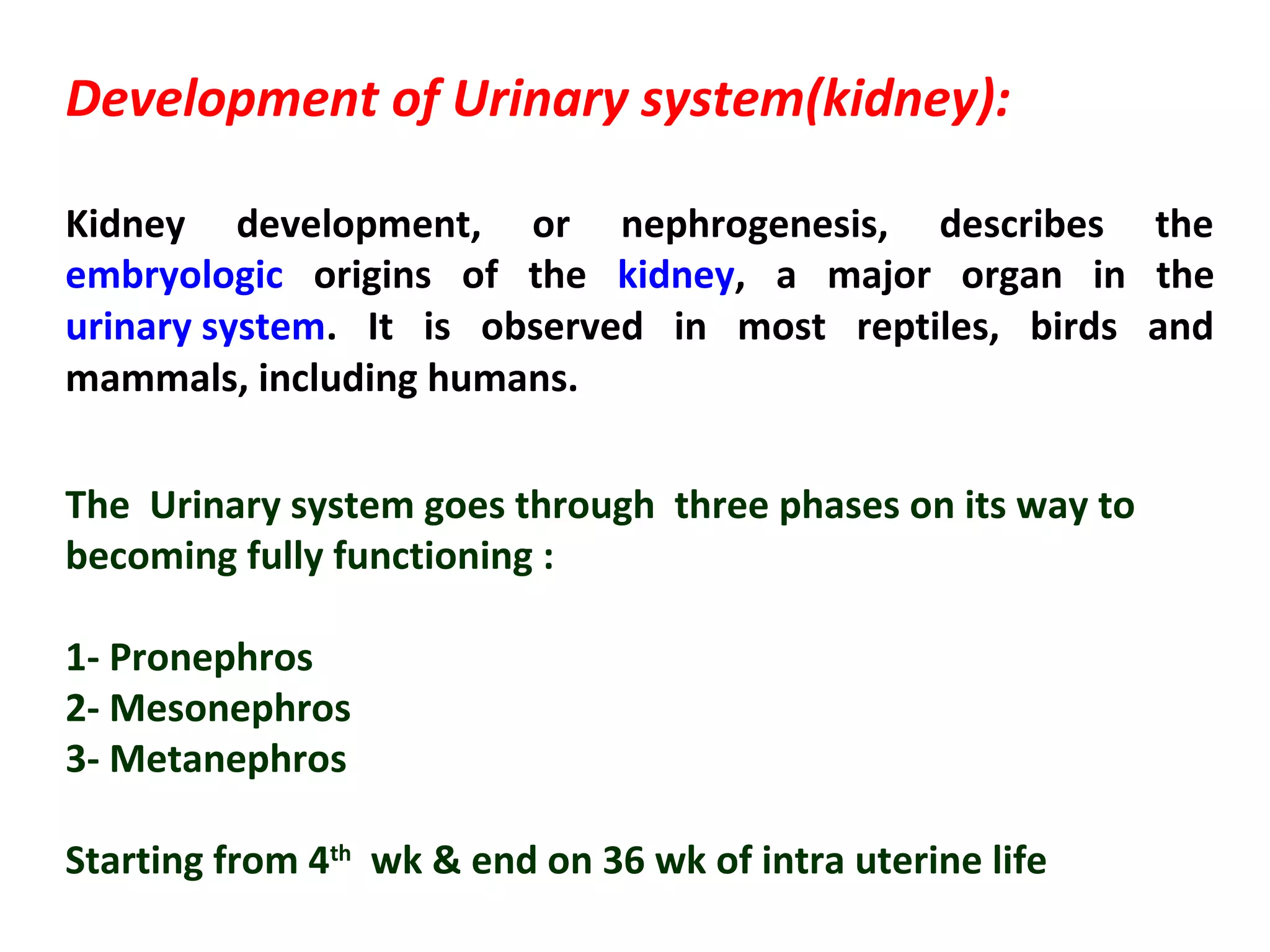 Development of Urinary system(kidney):
Kidney development, or nephrogenesis, describes the
embryologic origins of the kidney, a major organ in the
urinary system. It is observed in most reptiles, birds and
mammals, including humans.
The Urinary system goes through three phases on its way to
becoming fully functioning :
1- Pronephros
2- Mesonephros
3- Metanephros
Starting from 4th
wk & end on 36 wk of intra uterine life
 