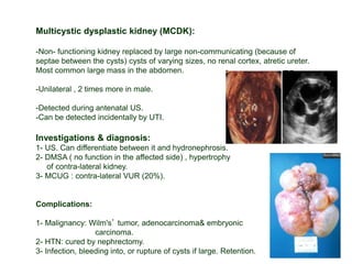 Multicystic dysplastic kidney (MCDK):
-Non- functioning kidney replaced by large non-communicating (because of
septae between the cysts) cysts of varying sizes, no renal cortex, atretic ureter.
Most common large mass in the abdomen.
-Unilateral , 2 times more in male.
-Detected during antenatal US.
-Can be detected incidentally by UTI.
Investigations & diagnosis:
1- US. Can differentiate between it and hydronephrosis.
2- DMSA ( no function in the affected side) , hypertrophy
of contra-lateral kidney.
3- MCUG : contra-lateral VUR (20%).
Complications:
1- Malignancy: Wilm's’ tumor, adenocarcinoma& embryonic
carcinoma.
2- HTN: cured by nephrectomy.
3- Infection, bleeding into, or rupture of cysts if large. Retention.
 