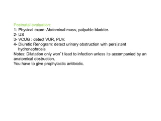 Postnatal evaluation:
1- Physical exam: Abdominal mass, palpable bladder.
2- US
3- VCUG : detect VUR, PUV.
4- Diuretic Renogram: detect urinary obstruction with persistent
hydronephrosis
Notes: Dilatation only won’t lead to infection unless its accompanied by an
anatomical obstruction.
You have to give prophylactic antibiotic.
 