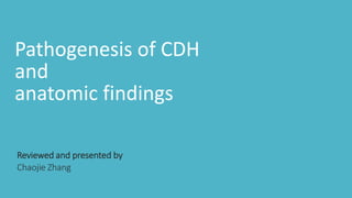 Pathogenesis of CDH
and
anatomic findings
Chaojie Zhang
 