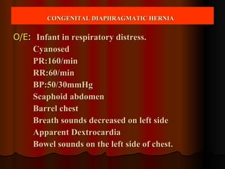 O/E :  Infant in respiratory distress. Cyanosed PR:160/min RR:60/min BP:50/30mmHg Scaphoid abdomen Barrel chest Breath sounds decreased on left side Apparent Dextrocardia Bowel sounds on the left side of chest. CONGENITAL DIAPHRAGMATIC HERNIA   